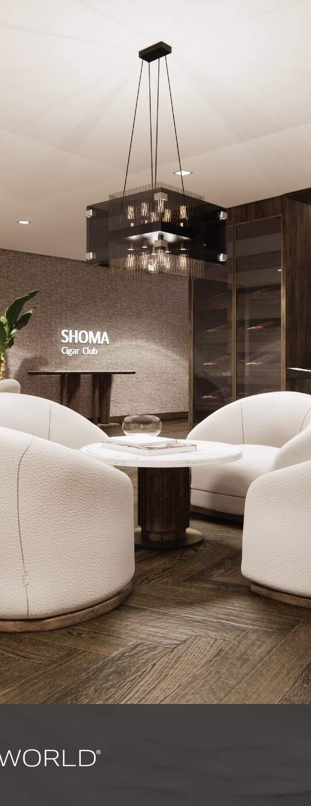 Shoma Bay — imagen 3