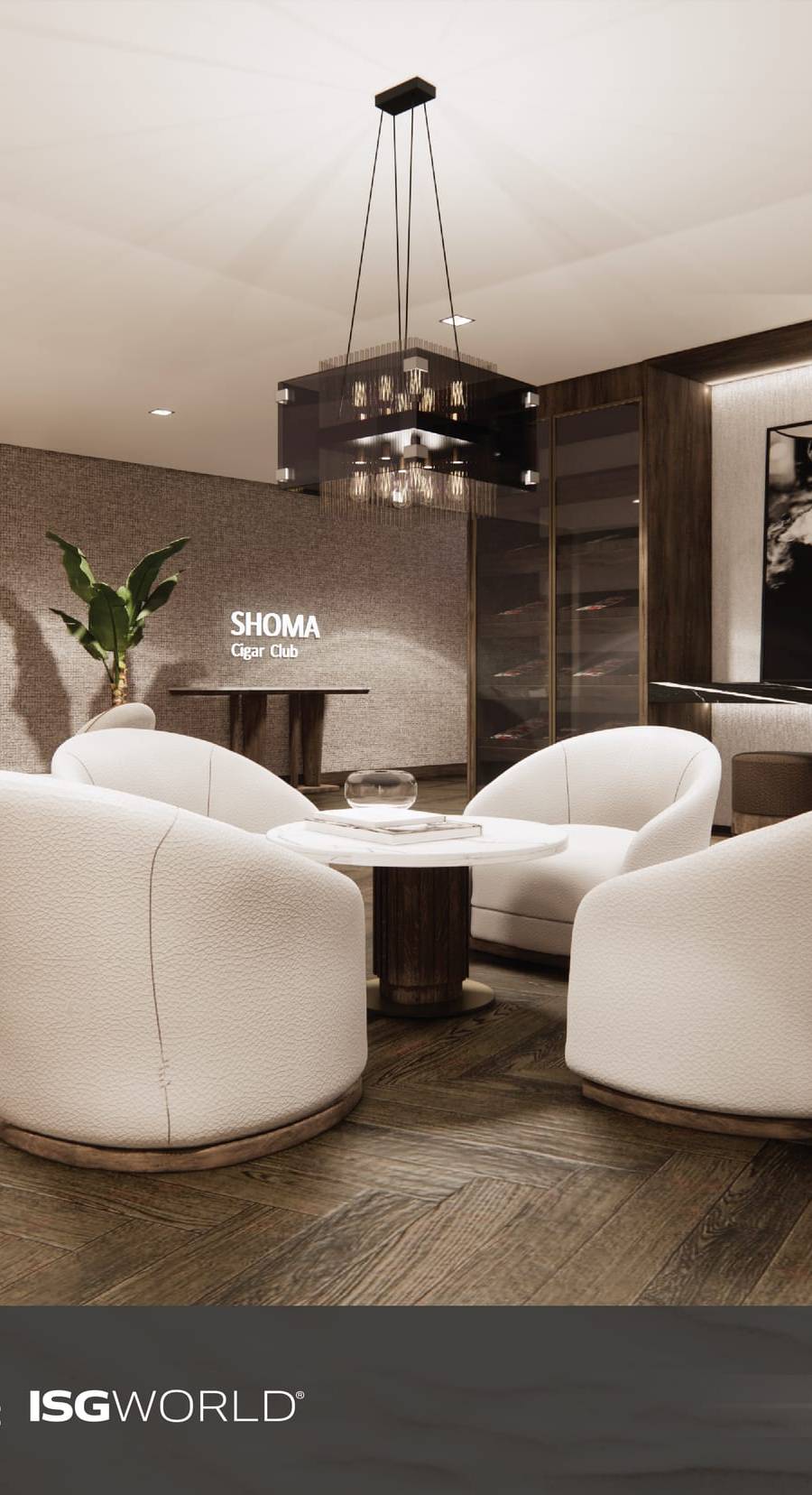 Shoma Bay — imagen 3