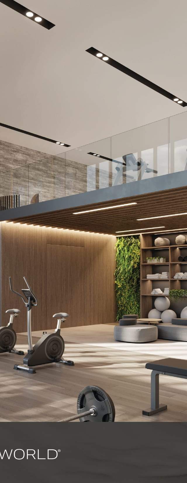 Shoma Bay — imagen 4