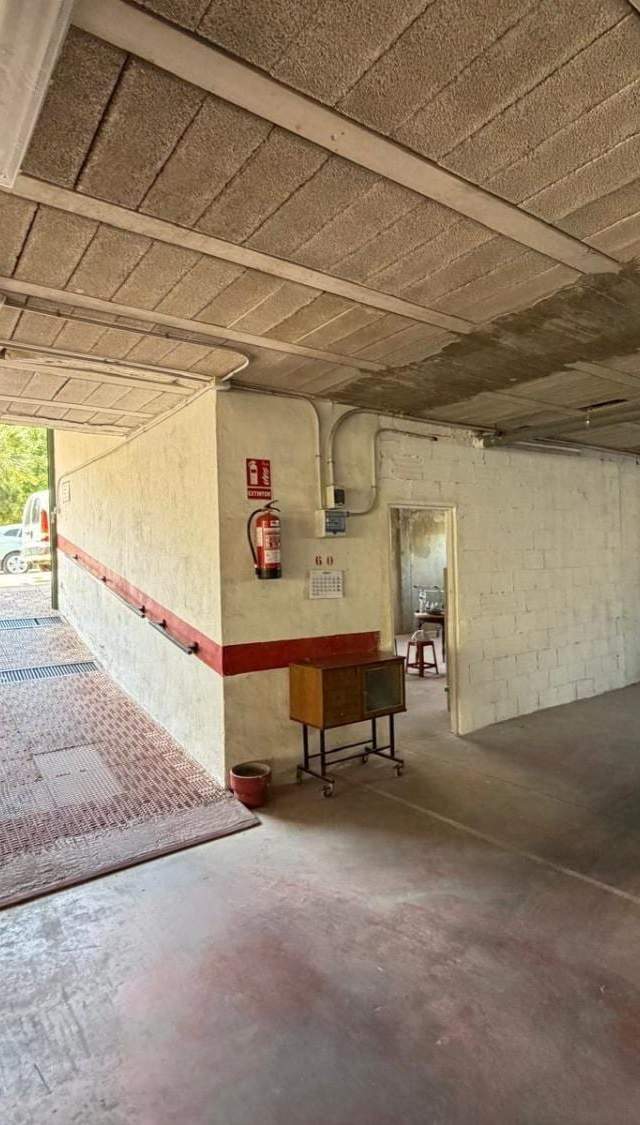 Local comercial en Torrevieja — imagen 4