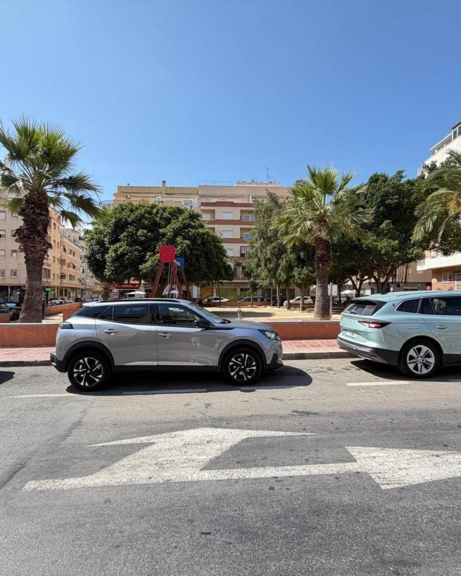 Local comercial en Torrevieja — imagen 15