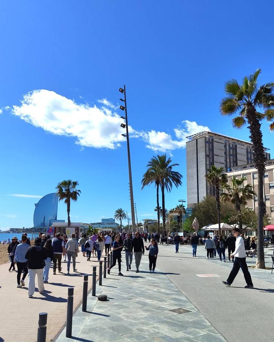 Planta Baja de 1 dormitorio en Barcelona — imagen 22