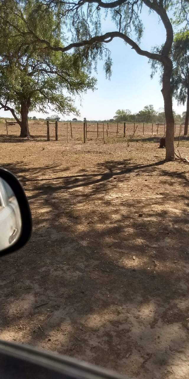 CAMPO PARA EXPLOTACIÓN AGRÍCOLA Y GANADERO — imagen 3