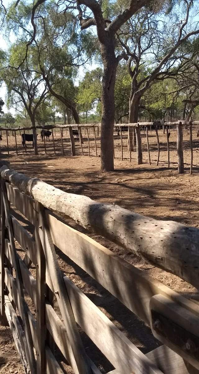 CAMPO PARA EXPLOTACIÓN AGRÍCOLA Y GANADERO — imagen 4