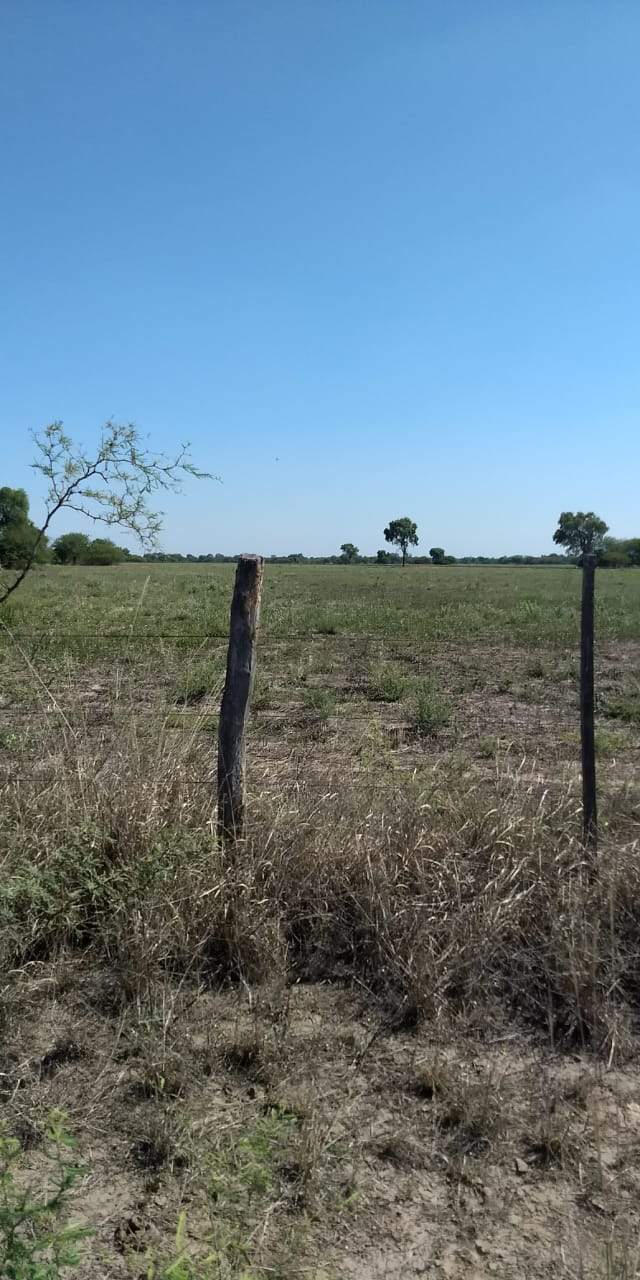 CAMPO PARA EXPLOTACIÓN AGRÍCOLA Y GANADERO — imagen 5