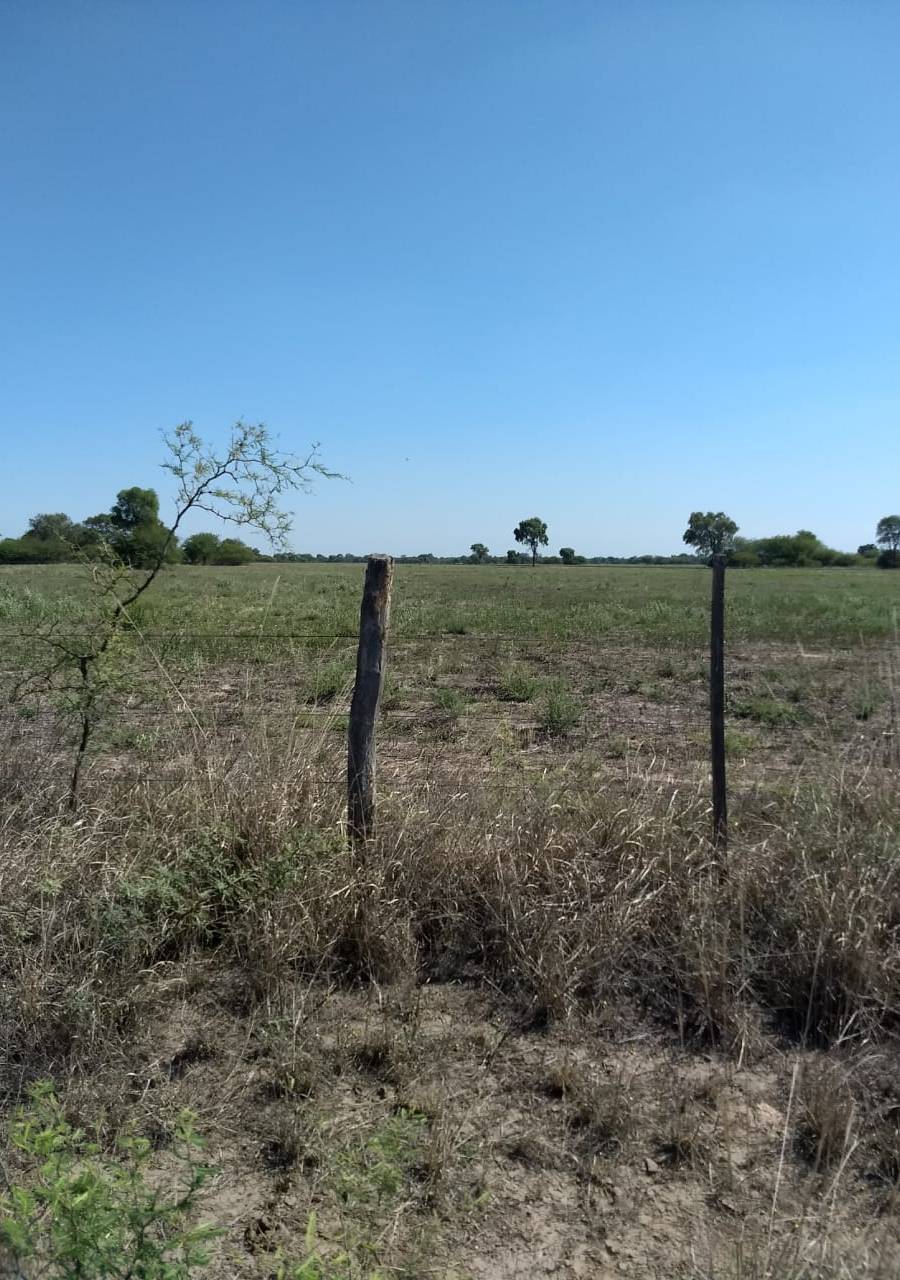CAMPO PARA EXPLOTACIÓN AGRÍCOLA Y GANADERO — imagen 5