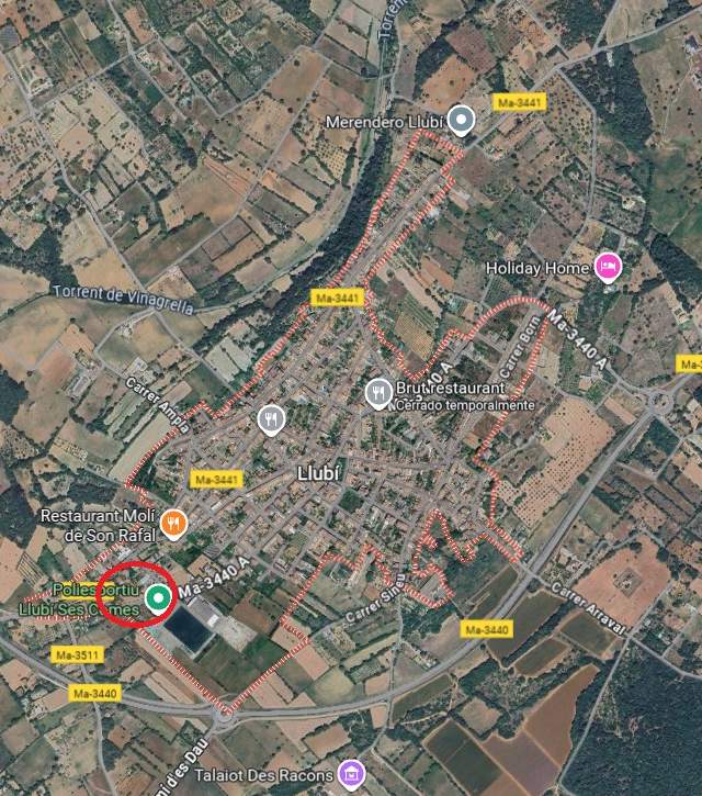 Plot in VENTA EL MALLORCA CON PROYECTO PARA DOS VIVIENDAS — imagen 4