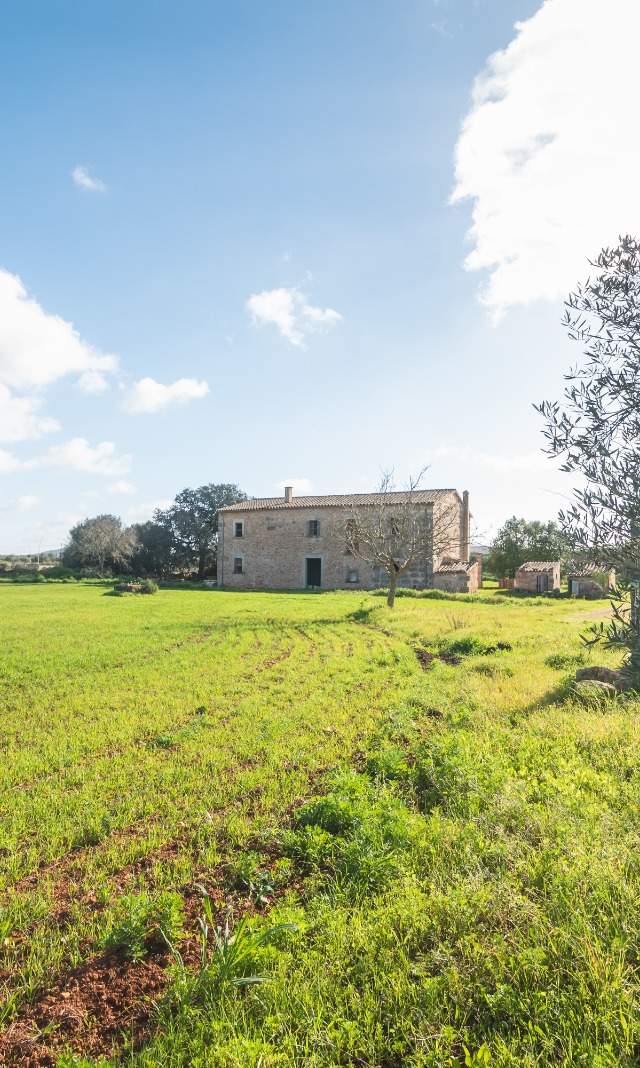 Finca Histórica en Algaida, Mallorca — imagen 4