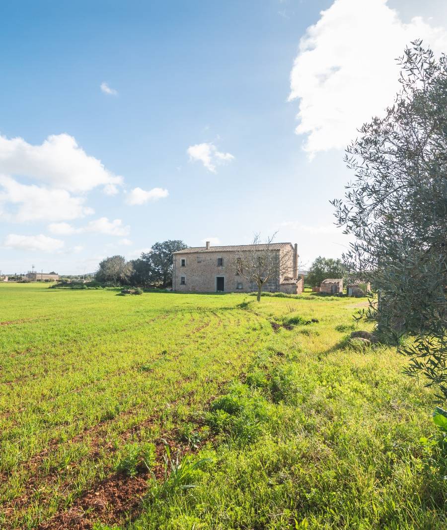 Finca Histórica en Algaida, Mallorca — imagen 4