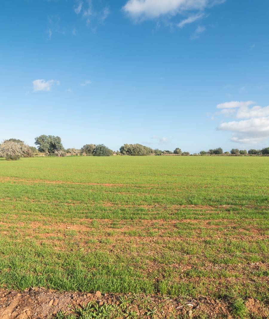 Finca Histórica en Algaida, Mallorca — imagen 11