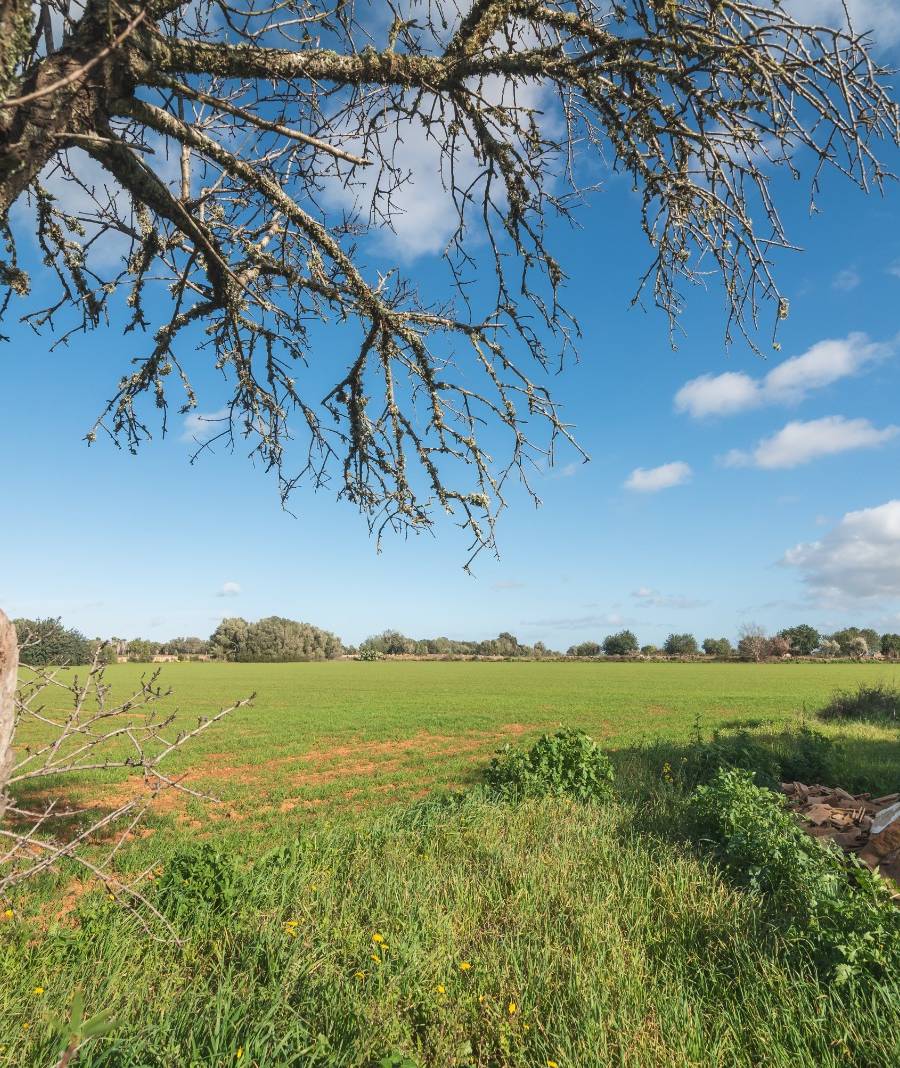 Finca Histórica en Algaida, Mallorca — imagen 12