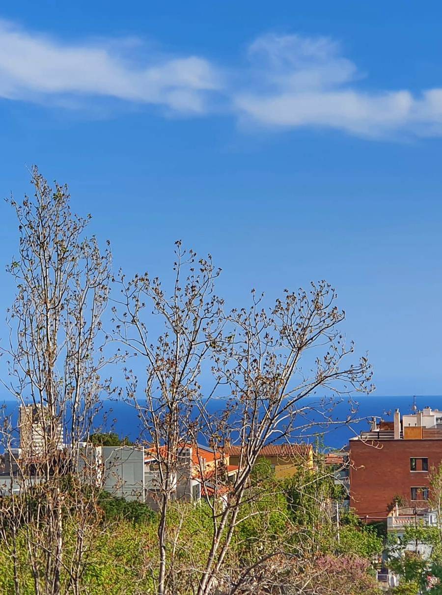Exclusiva Villa de Estilo Inglés con Piscina Privada y Vistas al Mar - Barcelona — imagen 26