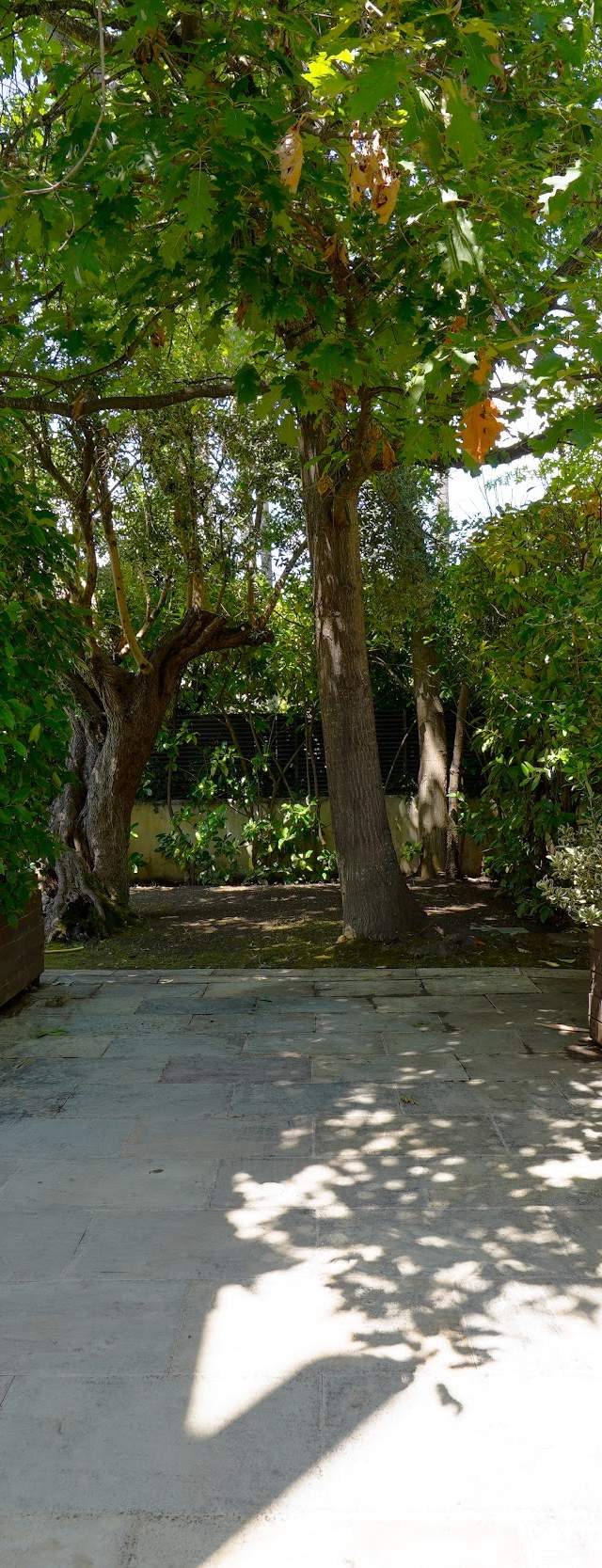 CHALET EN PLATJA D'ARO — imagen 3