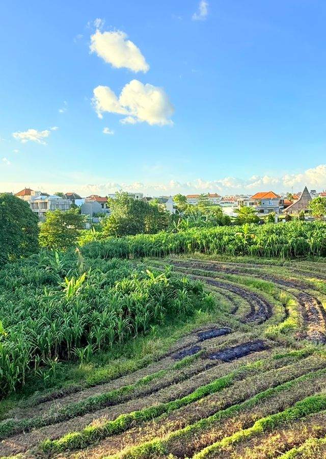 Villa moderna de 3 dormitorios a estrenar con vistas a los arrozales – Canggu, Bali — imagen 2