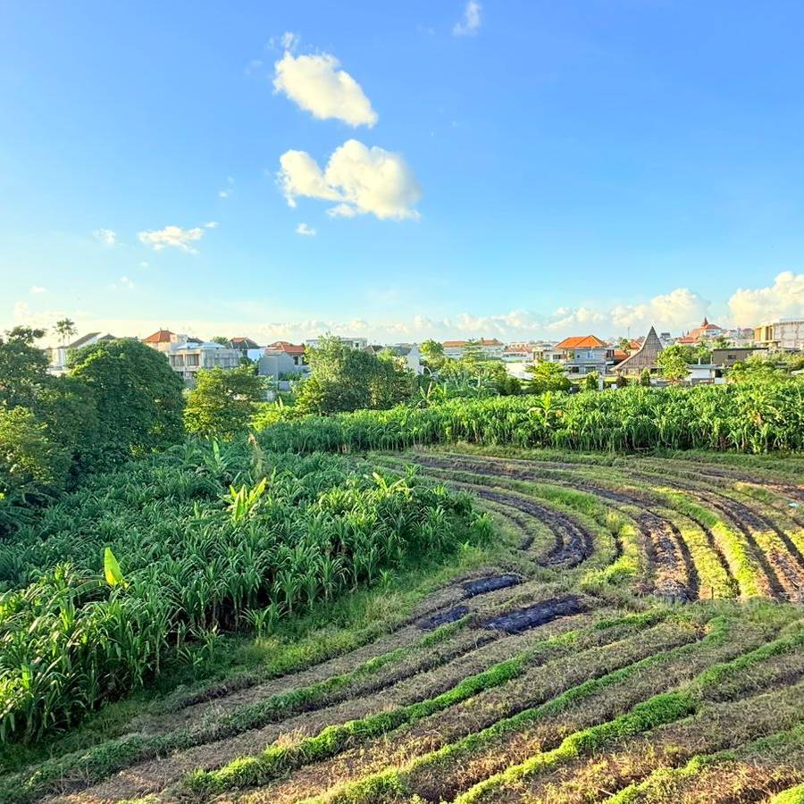 Villa moderna de 3 dormitorios a estrenar con vistas a los arrozales – Canggu, Bali — imagen 2
