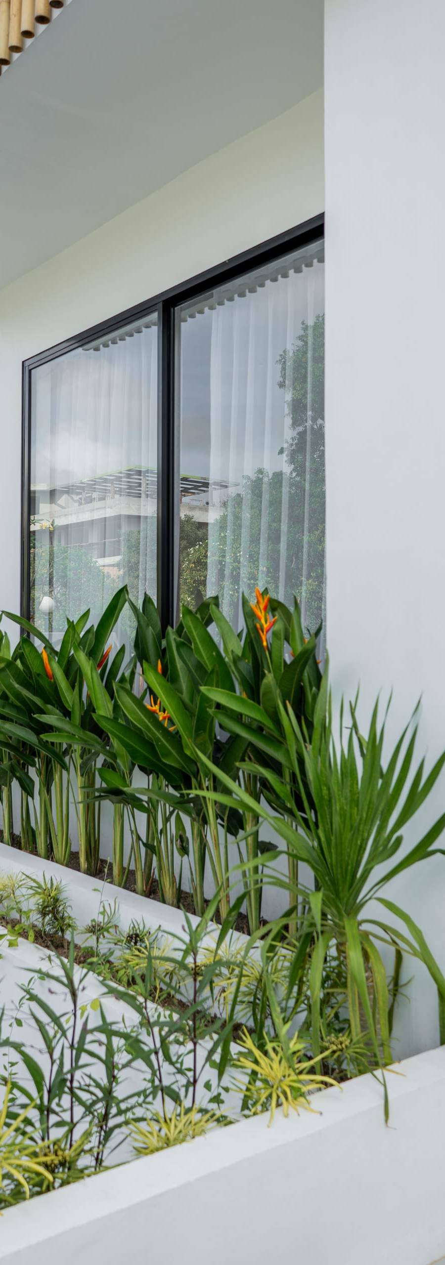 Espectacular Villa Freehold en Uluwatu — imagen 23