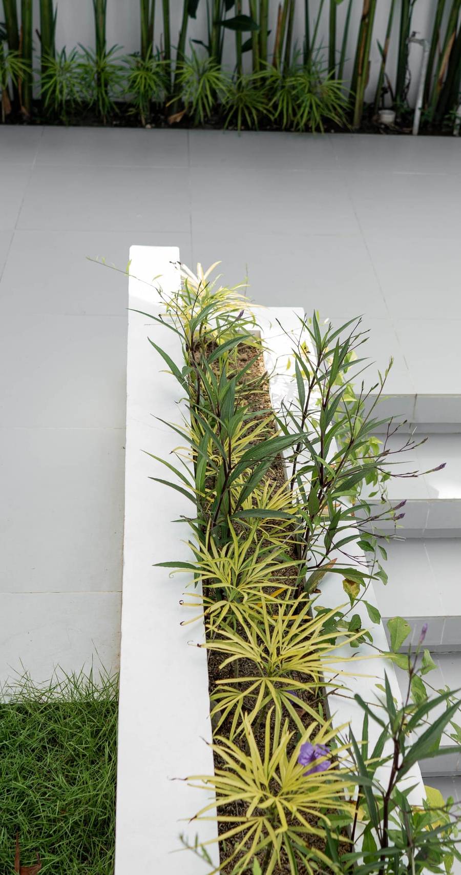 Espectacular Villa Freehold en Uluwatu — imagen 24