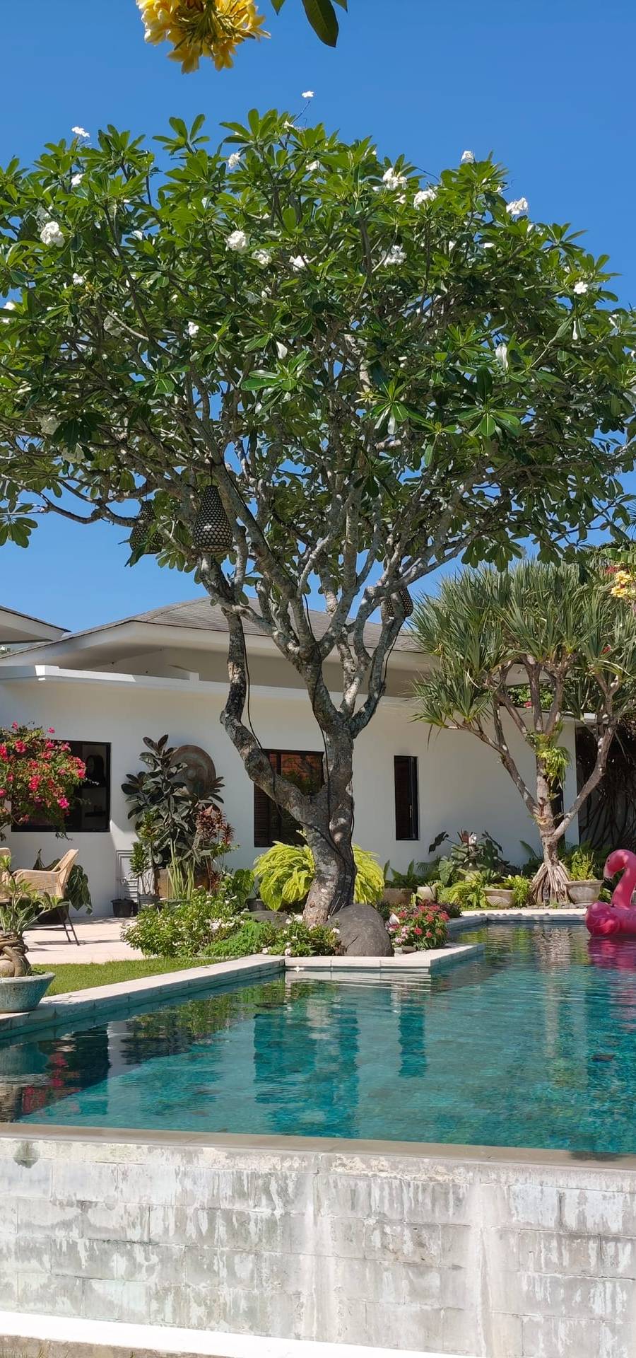 Lujosa Villa Leasehold en Bumbak, Umalas — imagen 14
