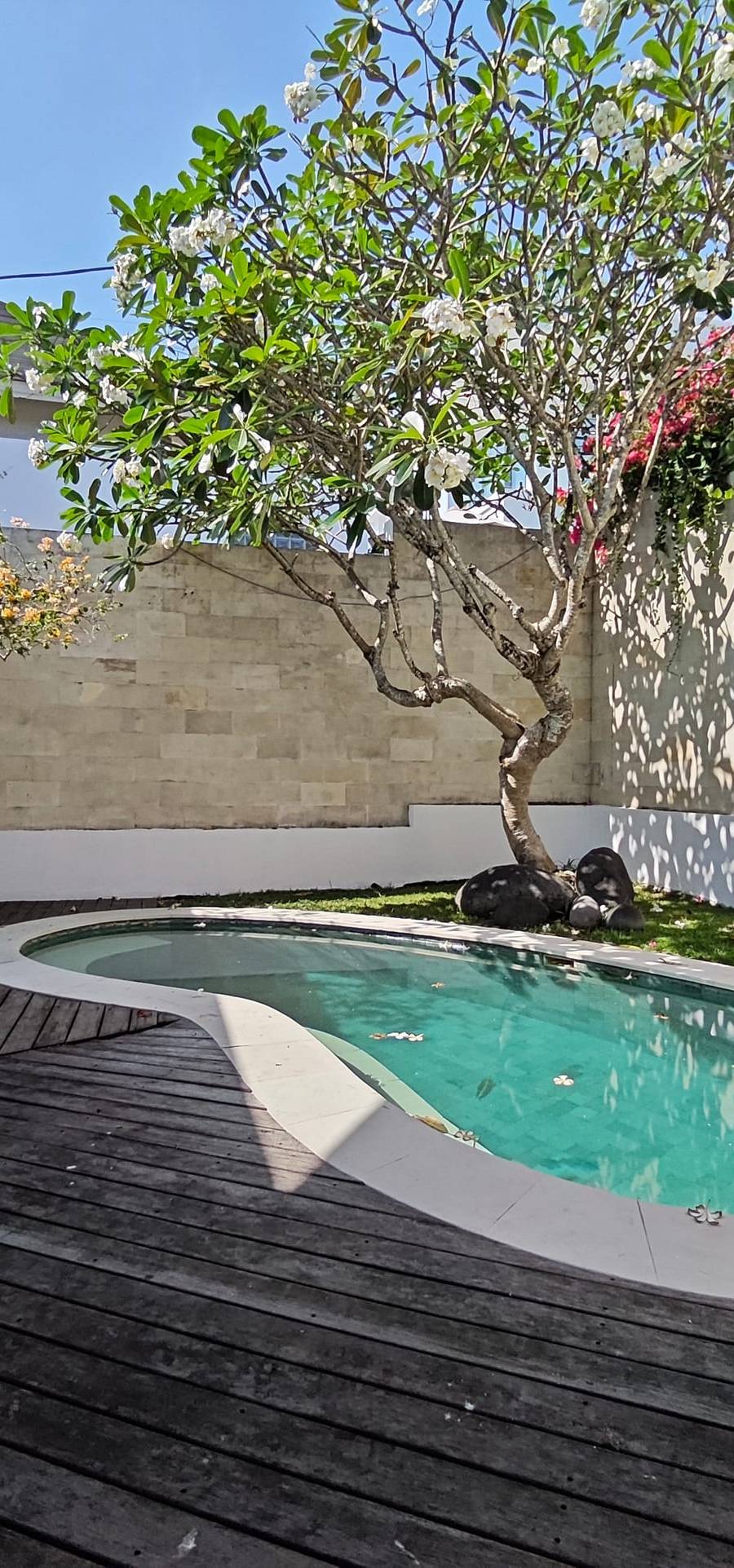 Lujosa Villa Leasehold en Bumbak, Umalas — imagen 35