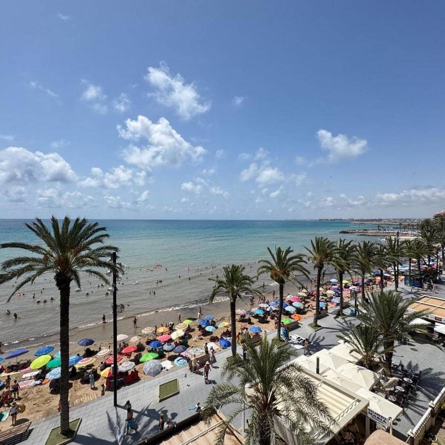 Apartment in LA PLAYA EN TORREVIEJA — imagen 16