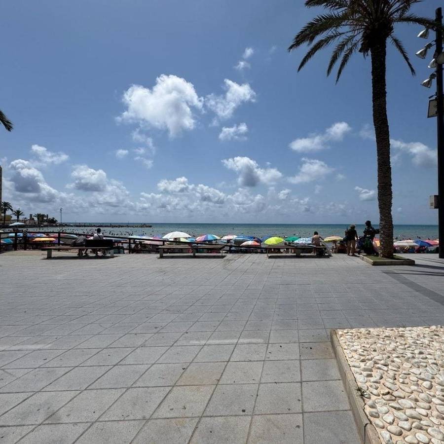 Apartment in LA PLAYA EN TORREVIEJA — imagen 37