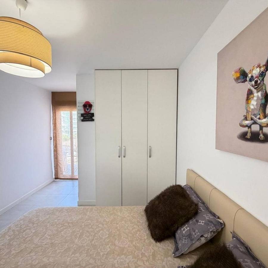 APARTAMENTO CON TERRAZA PROPIA EN CAMPOAMOR — imagen 25
